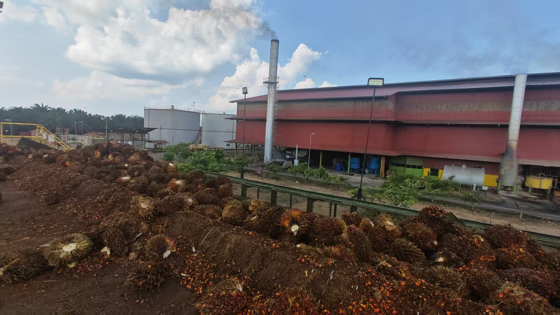 How to Improve Palm Oil Extraction Efficiency in a Palm Oil Mill?